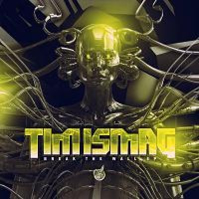 Tim Ismag-Feel Me (Instrumental Mix)